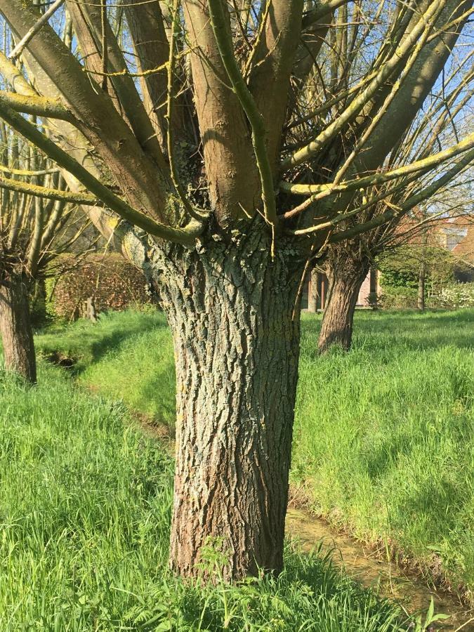 Villa Het Zwaantje Londerzeel Esterno foto