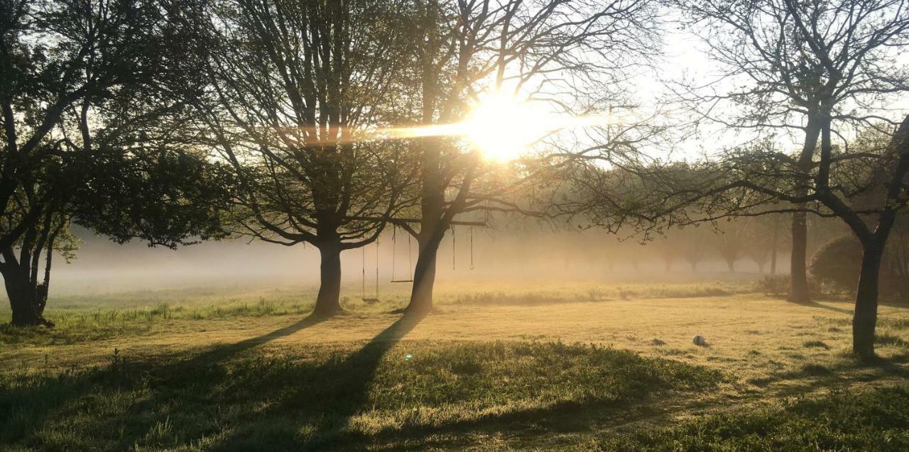 Villa Het Zwaantje Londerzeel Esterno foto