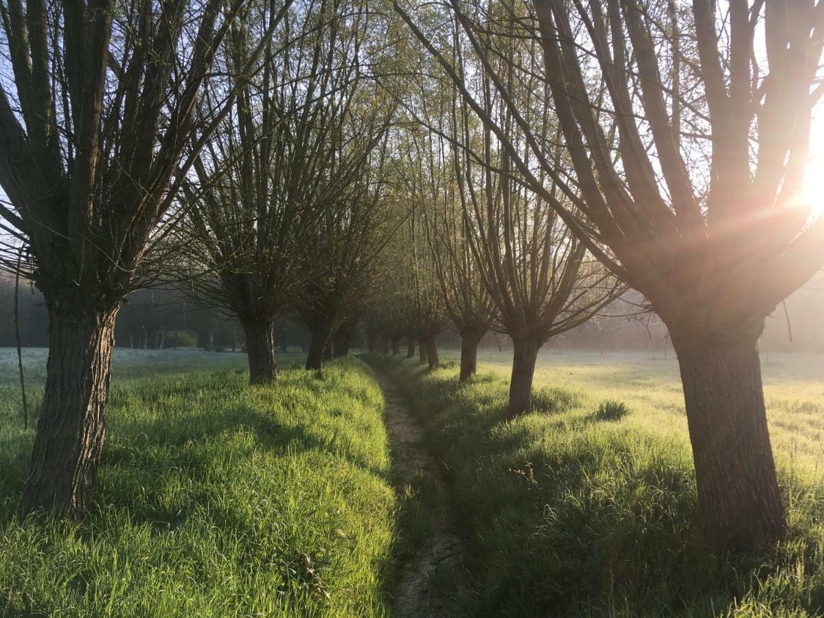 Villa Het Zwaantje Londerzeel Esterno foto